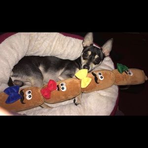 Meet your Posher, Karla